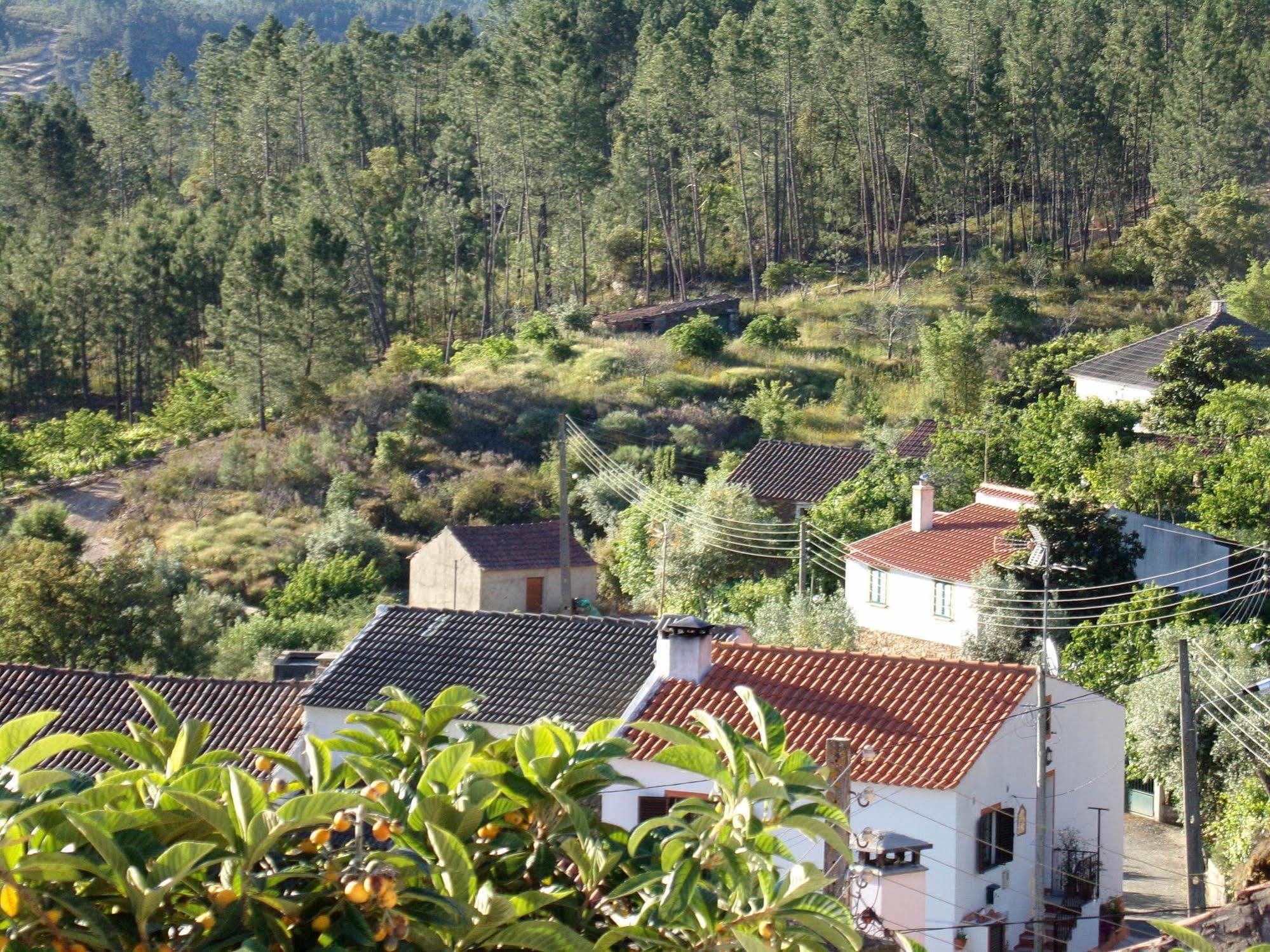 Villa Casas Dos Carregais Exterior foto
